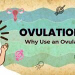 Ovulation Kit