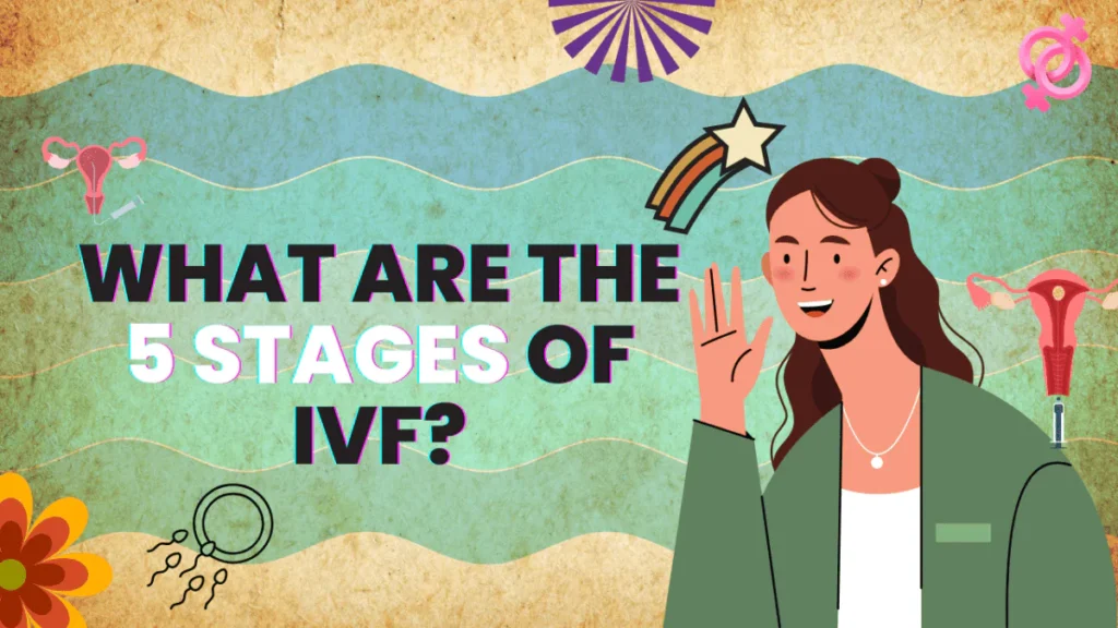 What Are the 5 Stages of IVF?