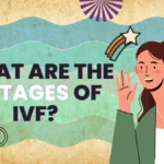 What Are the 5 Stages of IVF?