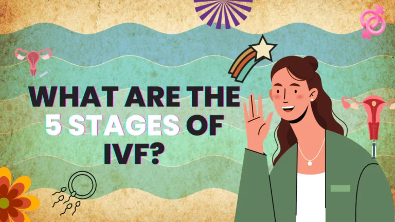 What Are the 5 Stages of IVF?