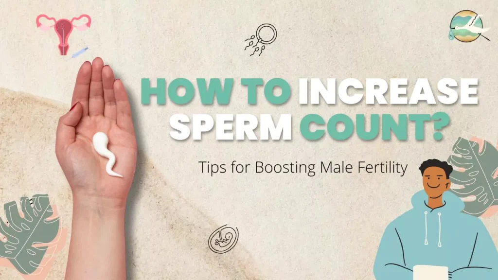 Increase Sperm Count