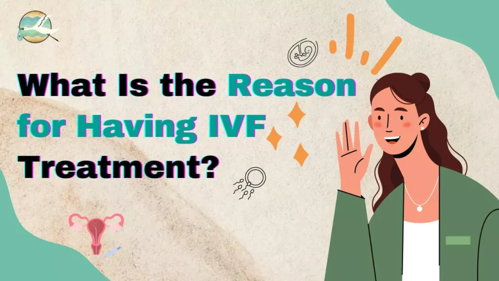 IVF Treatment