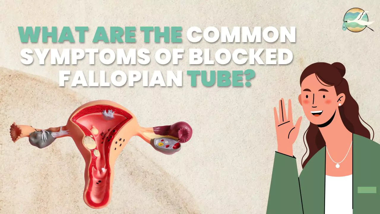What are the Common Symptoms of Blocked Fallopian Tube?