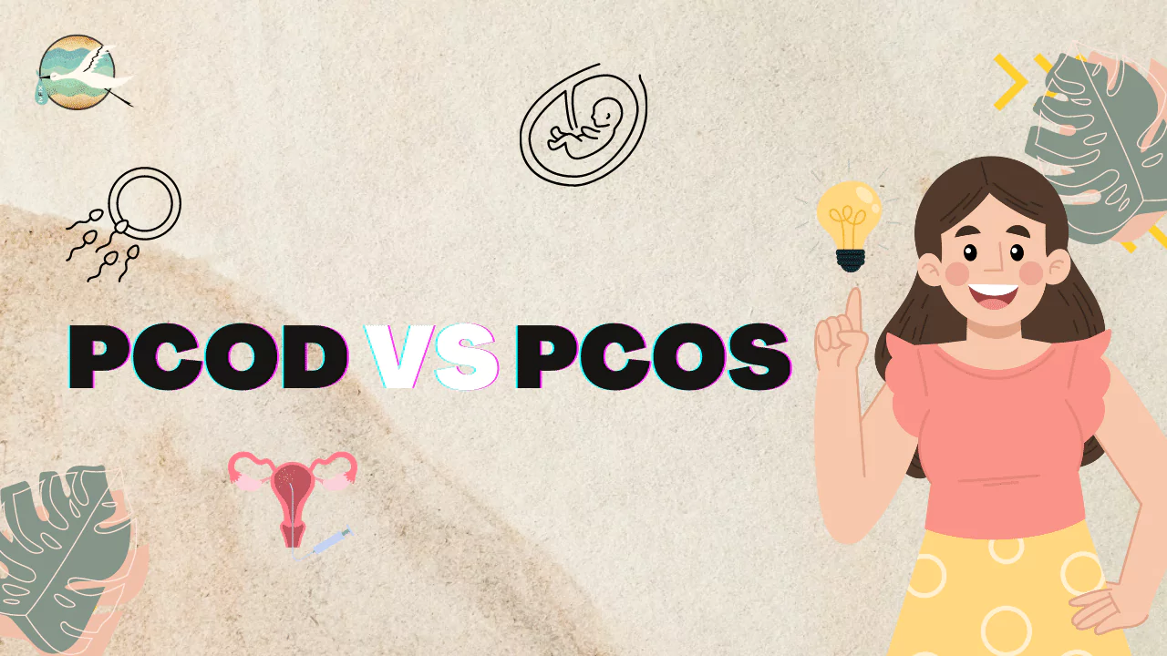 PCOD vs PCOS