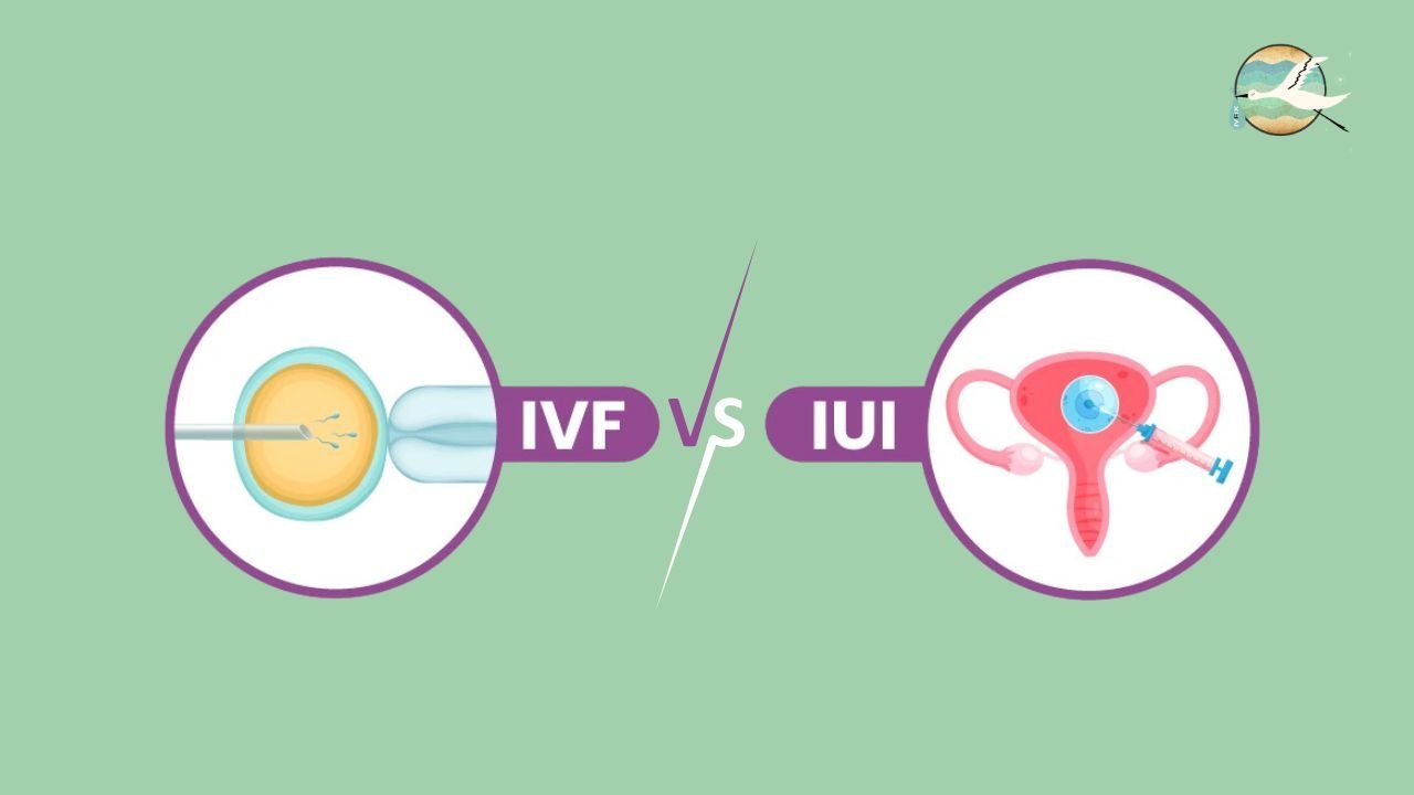 Which is more painful IUI or IVF