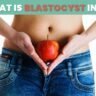 What is blastocyst in IVF?