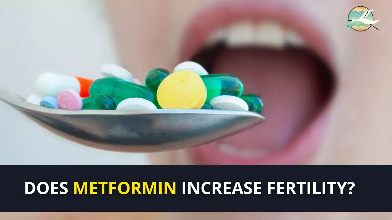 Does metformin increase fertility?