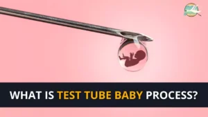 What is test tube baby process?