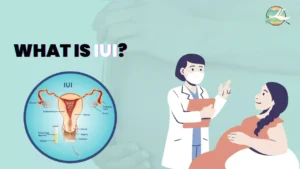 What is IUI?