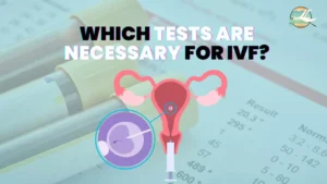 Which Tests Are Necessary for IVF?