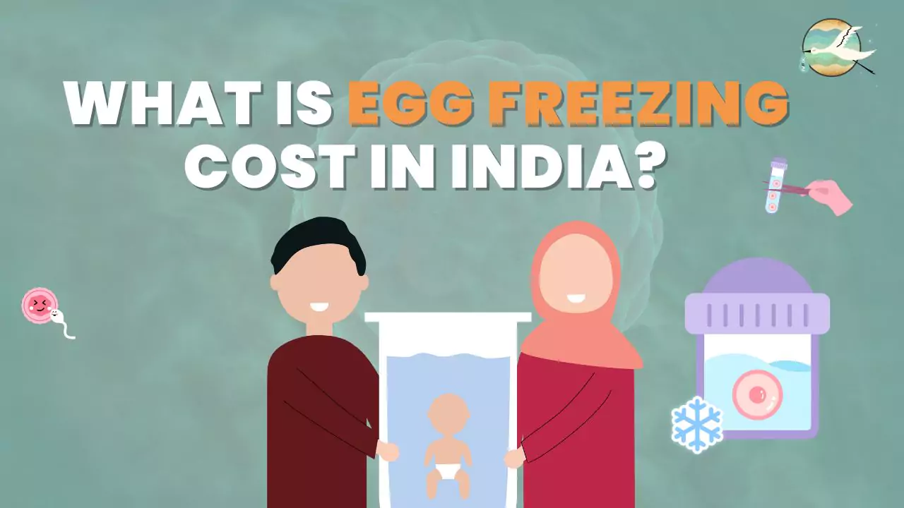 What is Egg Freezing Cost in India?