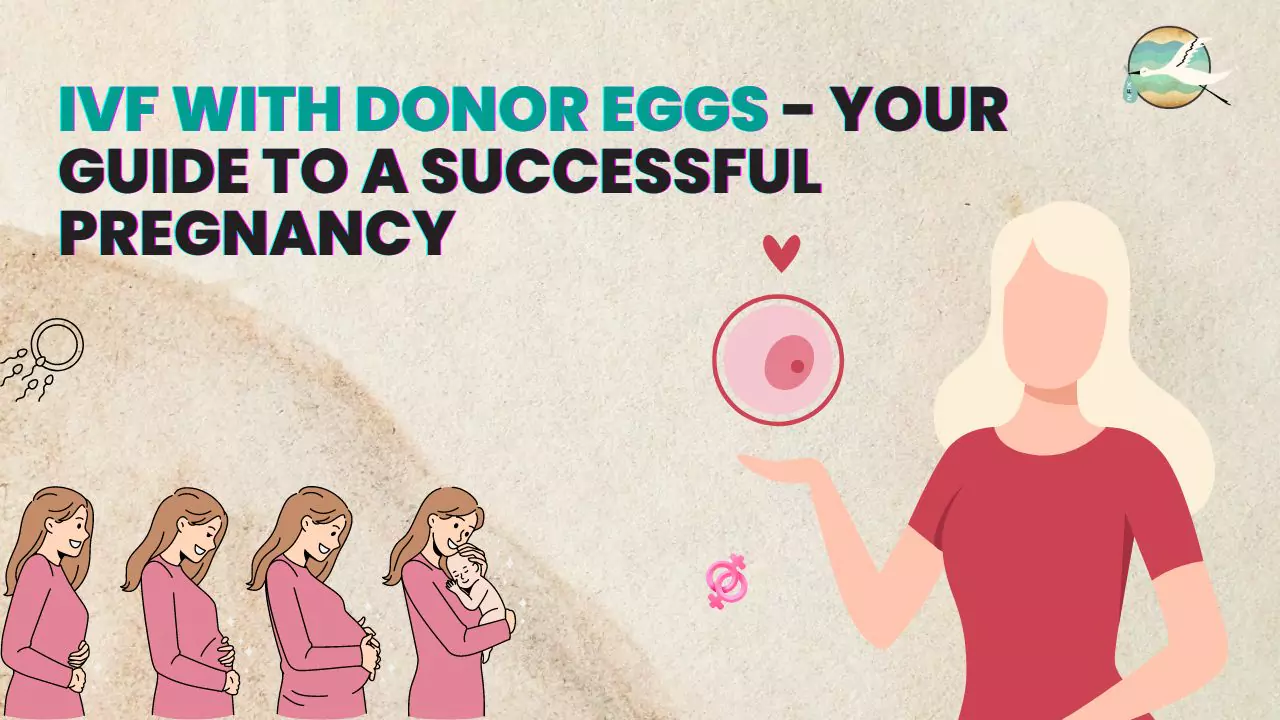 IVF with Donor Eggs - Your Guide to a Successful Pregnancy