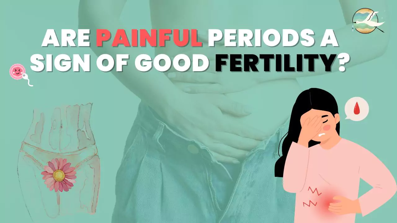 are painful periods a sign of good fertility.