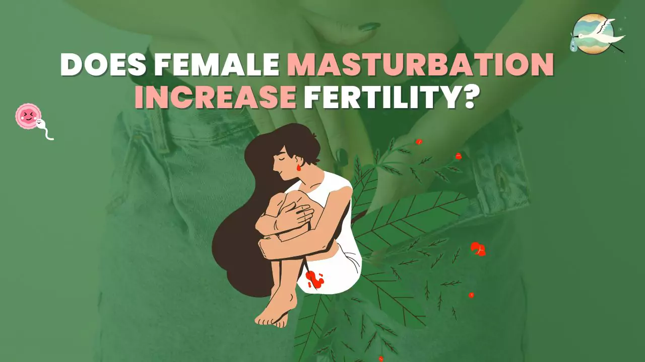 Does Female Masturbation Increase Fertility?