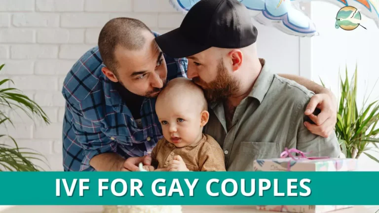 IVF for Gay Couples
