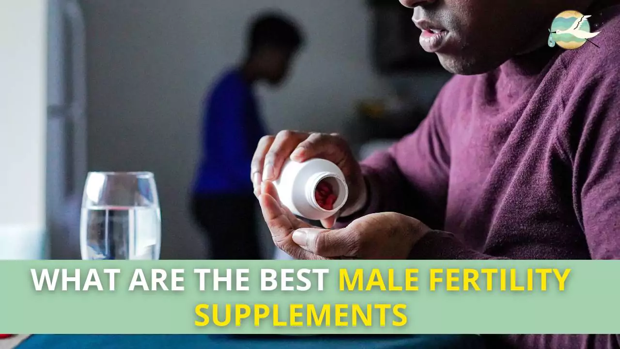 Best Male Fertility Supplements
