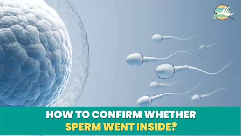 How to confirm whether sperm went inside?