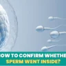 How to confirm whether sperm went inside?