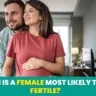 When is a female most likely to be fertile?