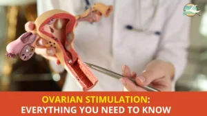 Ovarian Stimulation: Everything You Need to Know