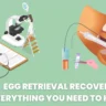 Egg Retrieval Recovery: Everything You Need to Know