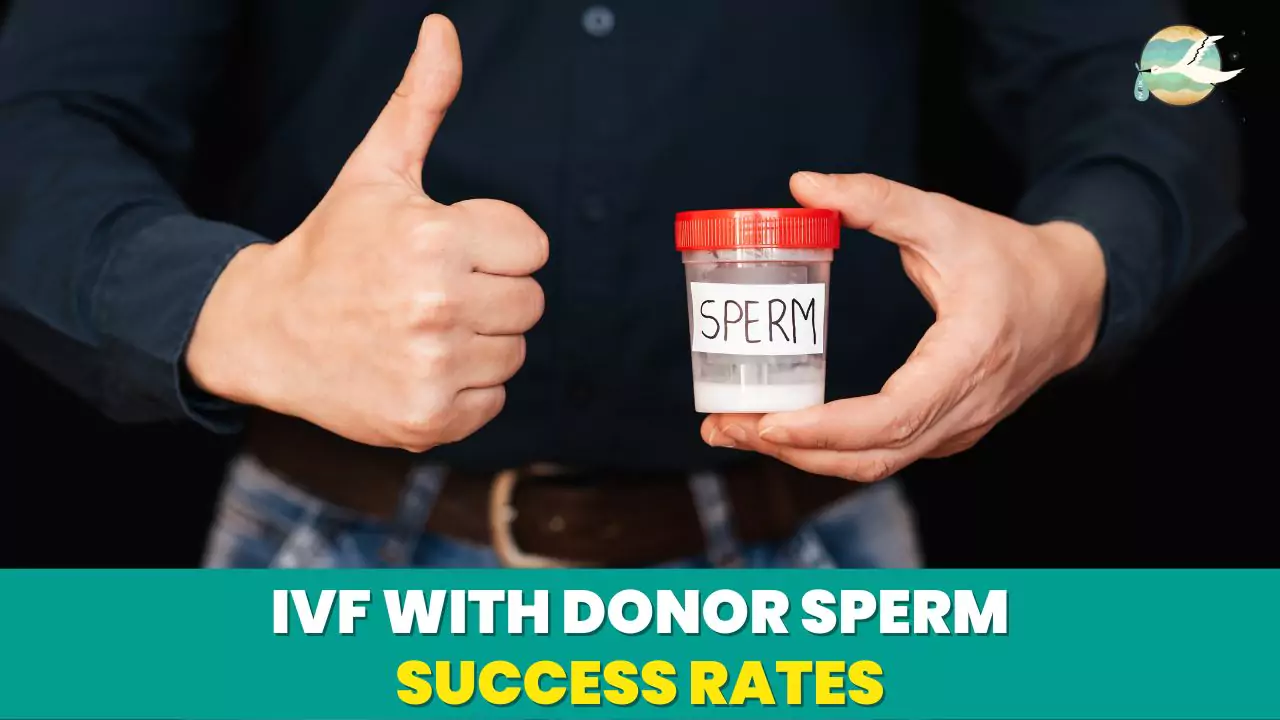IVF with Donor Sperm Success Rates